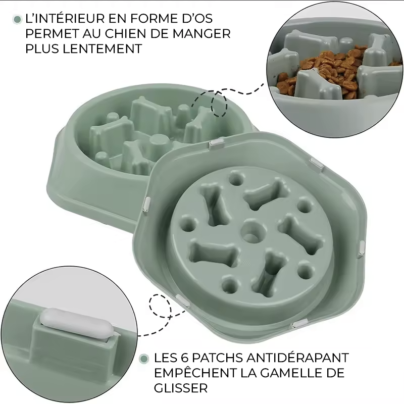 ZenBowl - Gamelle Anti-Glouton – Image 2